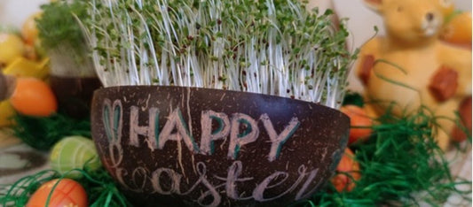 Grow-Grow Nut: Kinder-Oster-Edition