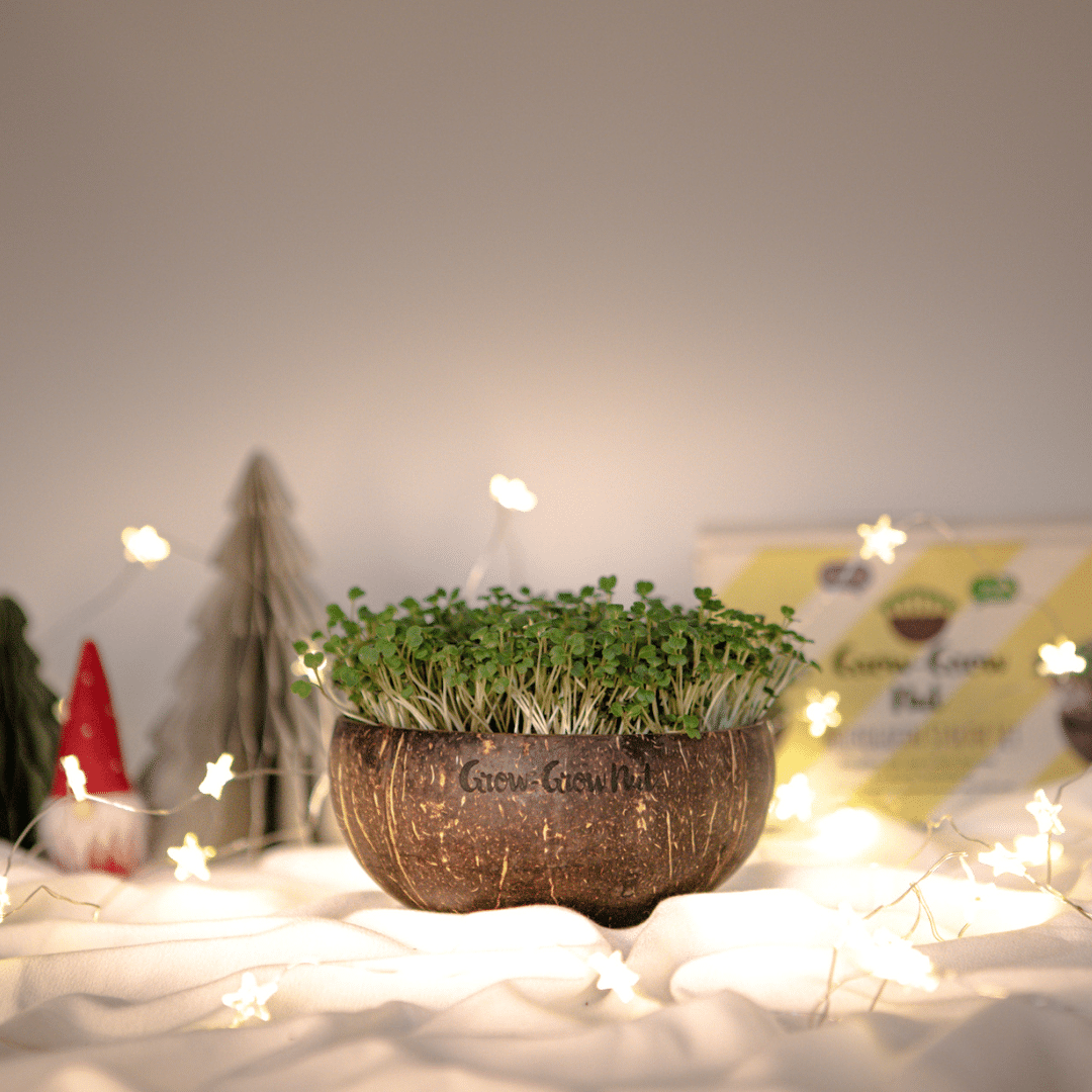 Grow-Grow Nut Christmas Edition