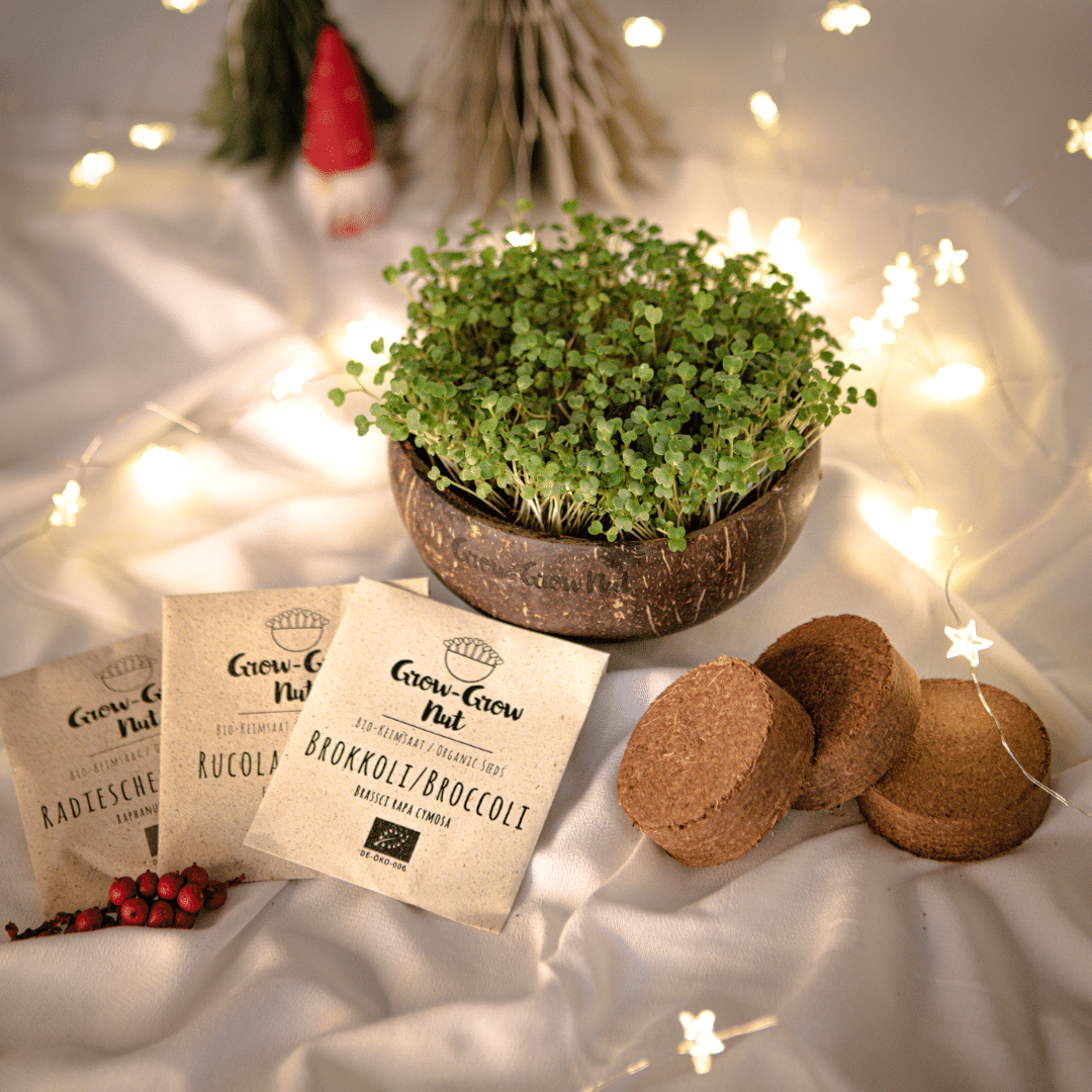 Grow-Grow Nut Christmas Edition