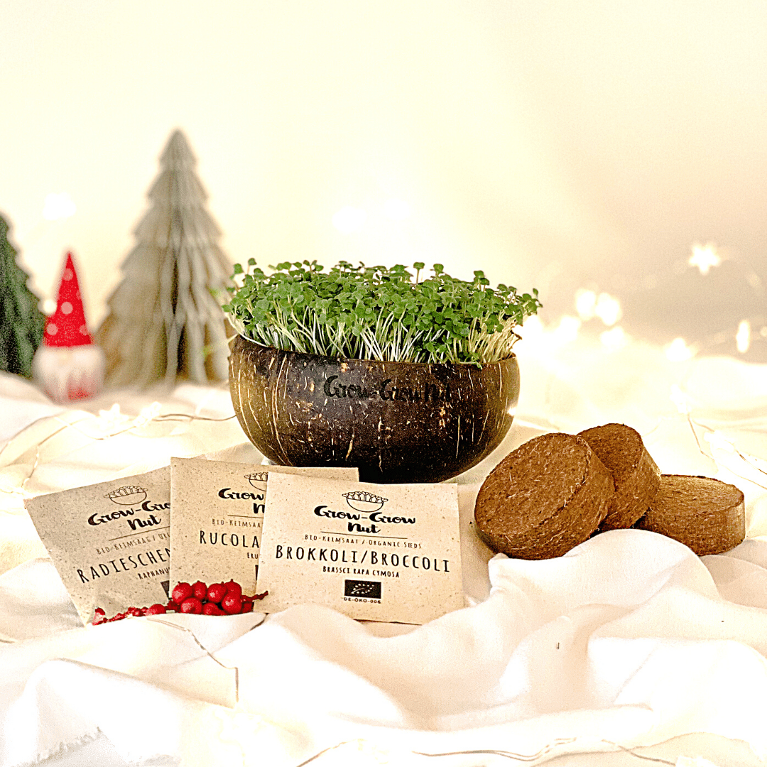 Grow-Grow Nut Christmas Edition